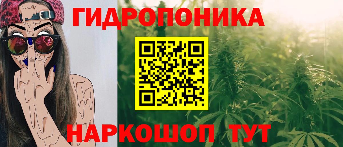 Канабис OG Kush  Конопля гибрид  Каннабис Amnesia  Старая Купавна  Вход с VPN  Каннабис MAZAR 